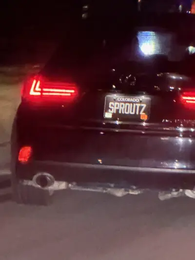 License plate