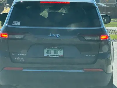 License plate