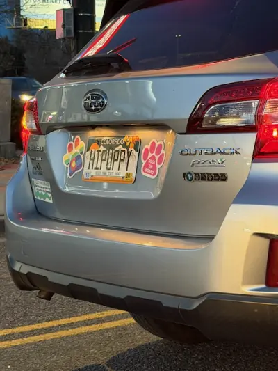 License plate