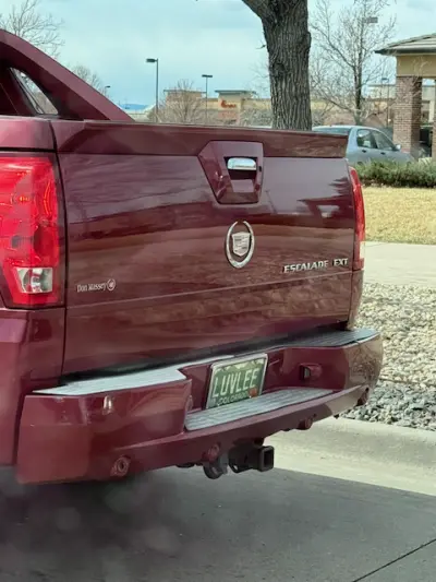 License plate