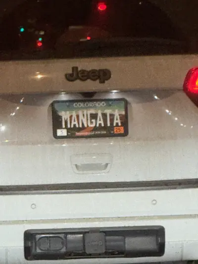 License plate