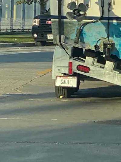License plate