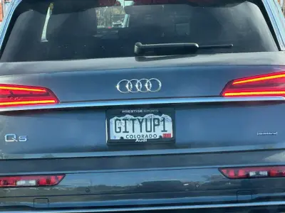 License plate