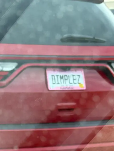 License plate