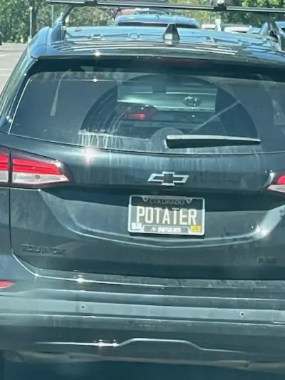 License plate