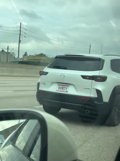 License plate