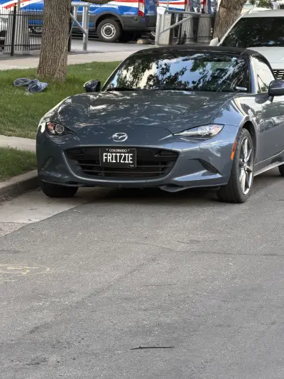 FRITZIE