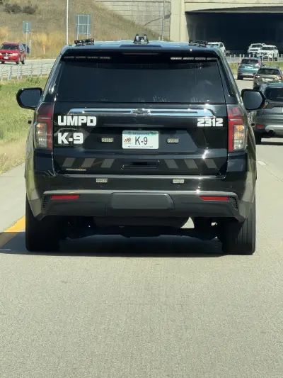 K-9