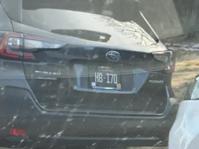 License plate