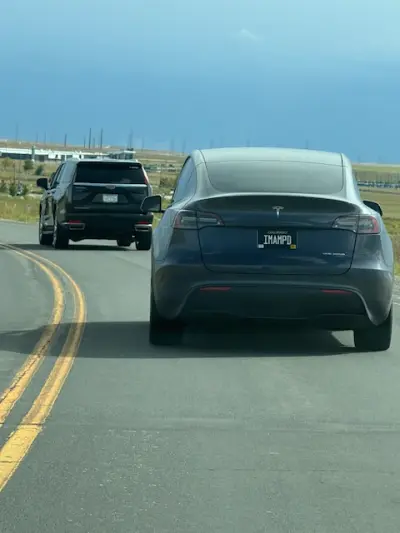 License plate