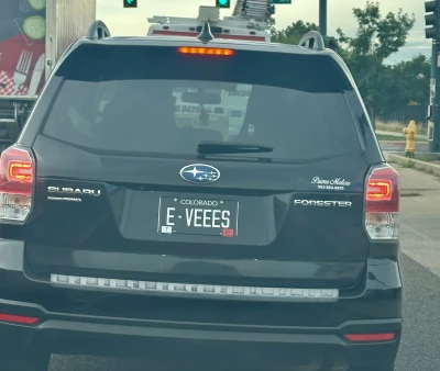 E-VEEES