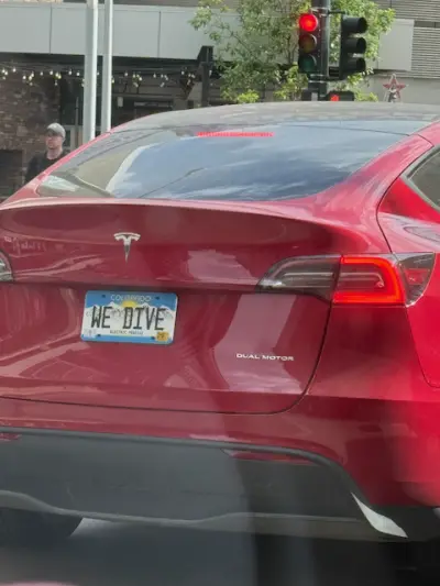 License plate