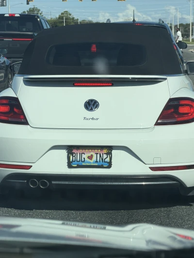 BUG IN2