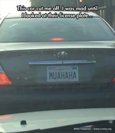 License plate