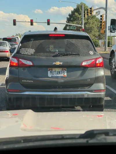 License plate