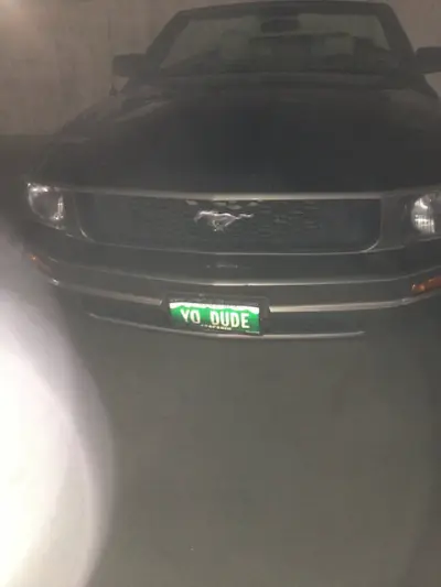 License plate