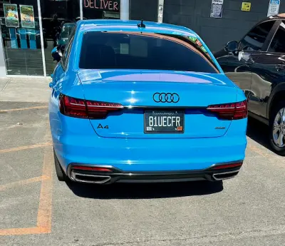 License plate