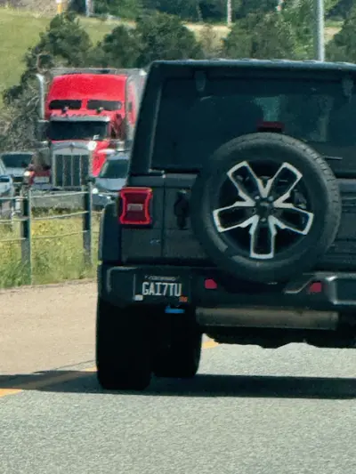 License plate