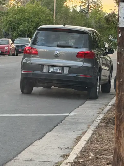 License plate