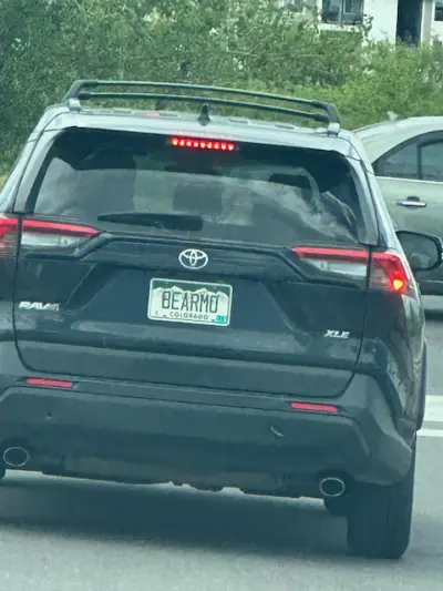 License plate