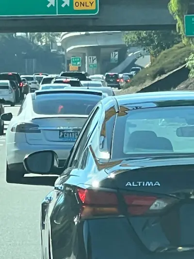 License plate