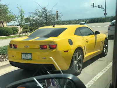 License plate