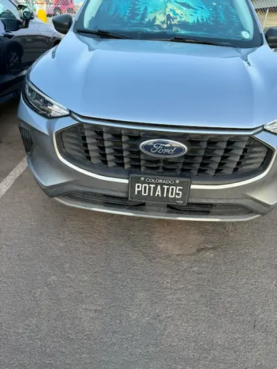 License plate