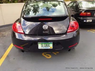 License plate