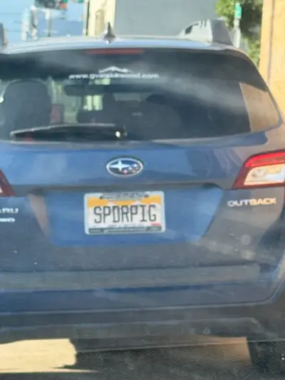 License plate