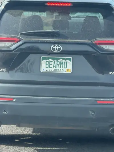 License plate