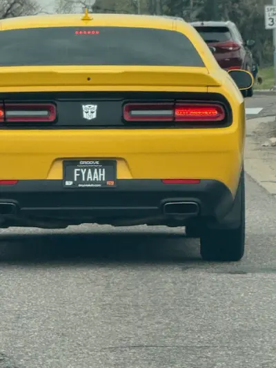 License plate