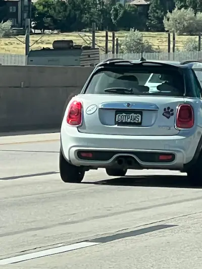 License plate