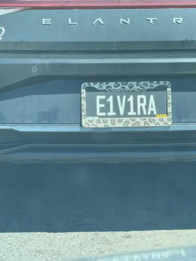 License plate