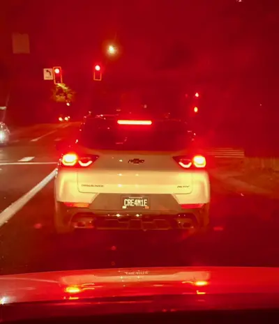 License plate