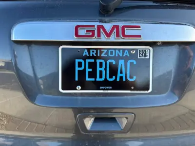 License plate