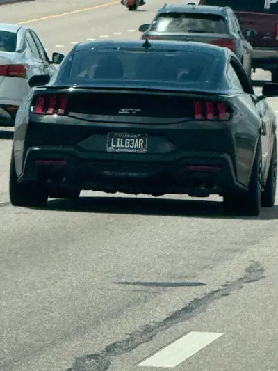 License plate