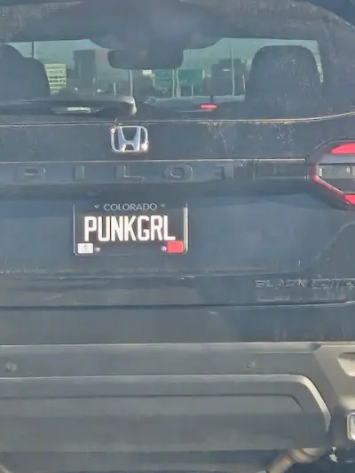 License plate