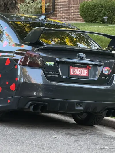 License plate