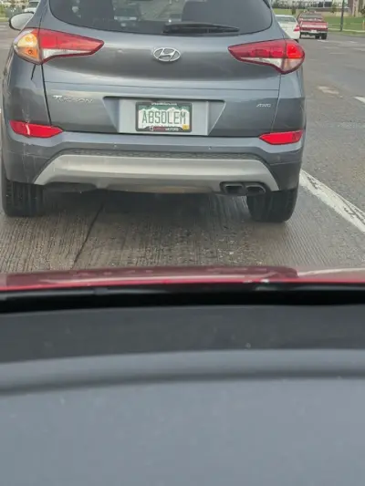 License plate