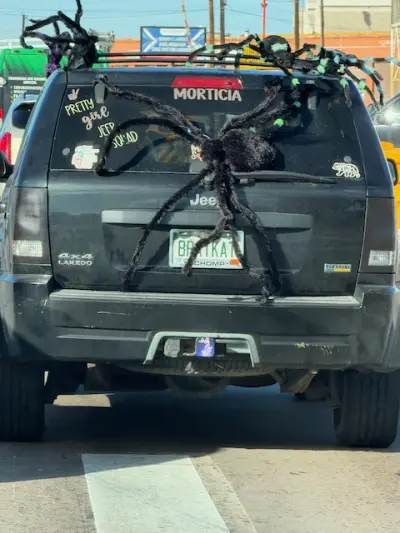 License plate