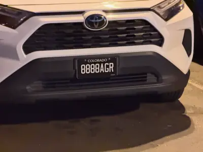 License plate