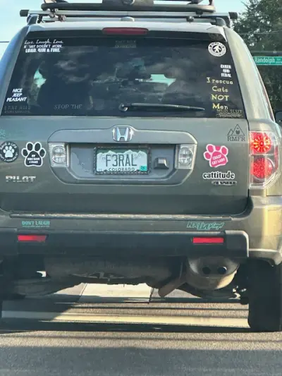 License plate