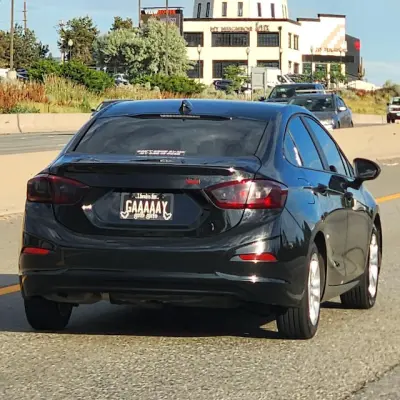 License plate