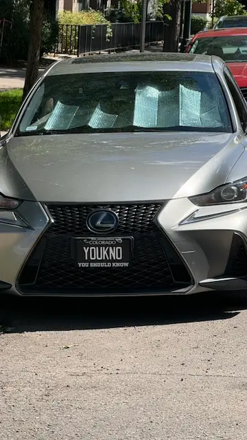 License plate