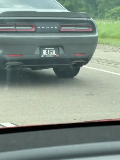 License plate