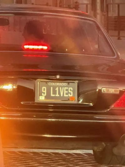 License plate