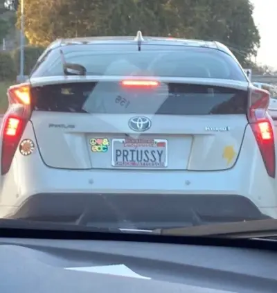 License plate