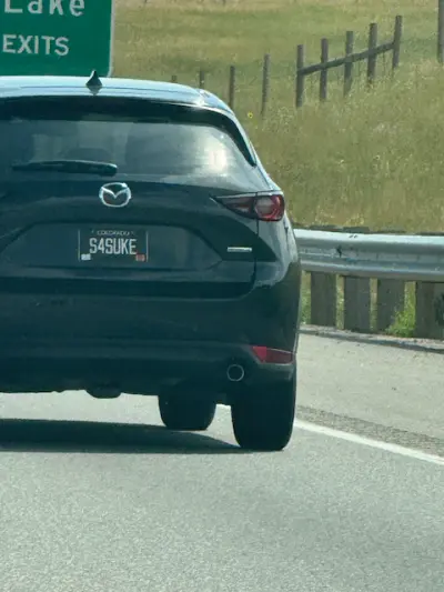 License plate