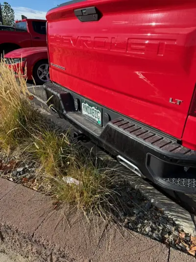 License plate