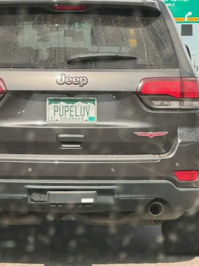 License plate